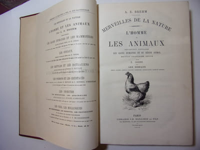L'Homme et les animaux. Les oiseaux ( 2 vols)