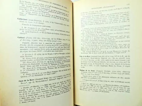 L'origine des Magistrats du Parlement de Paris au XVIIIe ( 1715-1771). JF Bluche