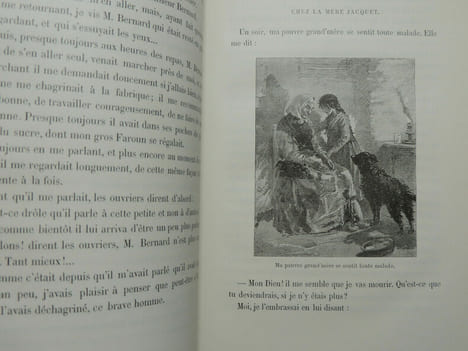 Nizelle, souvenirs d'un orphelin. Eugène Muller.