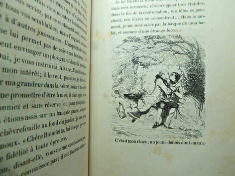 Le diable amoureux. Roman fantastique. Jacques Cazotte