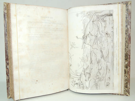 Lettres sur les révolutions du Globe. Alexandre Bertrand
