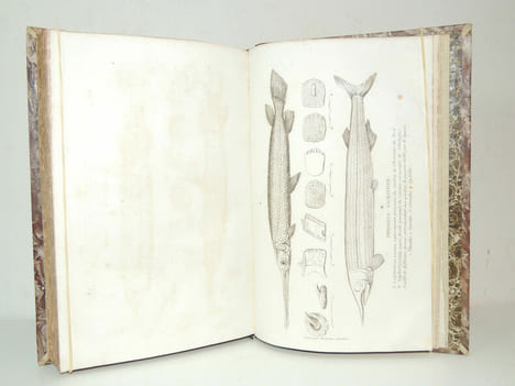Lettres sur les révolutions du Globe. Alexandre Bertrand
