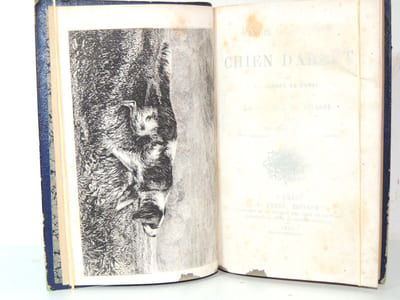 Manuel du chasseur au chien d’arrêt