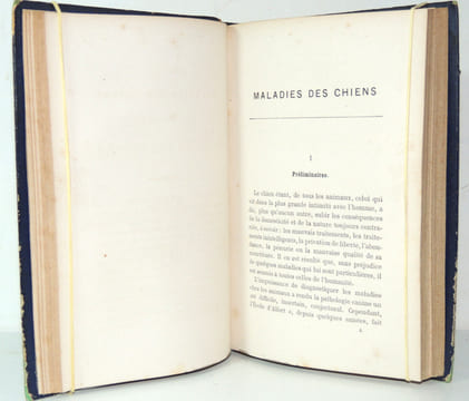 Manuel du chasseur au chien d’arrêt. Léonce de Curiel