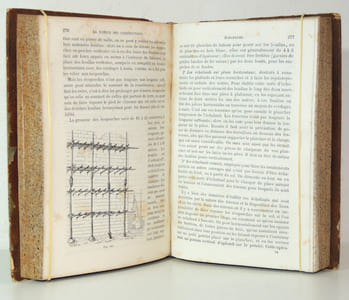 L'Architecture et la construction pratiques