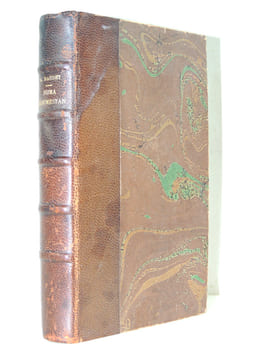 Numa Roumestan. ( Mœurs Parisiennes). Alphonse Daudet