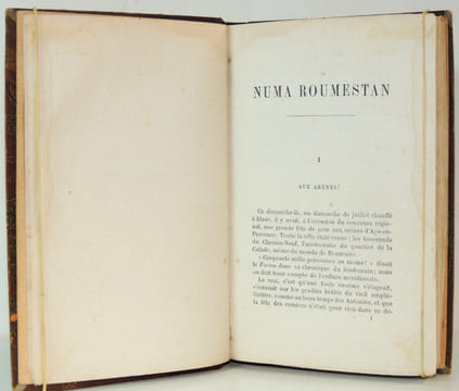 Numa Roumestan. ( Mœurs Parisiennes). Alphonse Daudet