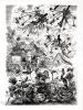 ( NOTTON ) - MAETERLINCK Maurice. La Vie des abeilles. Gravures originales (42) au burin de Tavy NOTTON.. ( NOTTON Tavy ) - MAETERLINCK Maurice. 