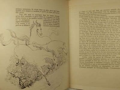 Le Cheval,
