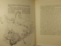 Le Cheval,