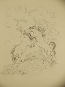 Le Cheval,