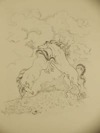 Le Cheval,