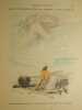 Les Mille et une Nuits,. Anonyme,
