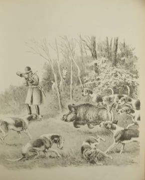 Le Monde Merveilleux des Bêtes, Animaux de Vénerie et Chasse aux Chiens courants, 2 Volumes,. Oberthur, Joseph,