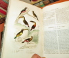 Oeuvres complètes de Buffon : Histoire naturelle - oiseaux (2 vol.), avec les supplemens augmentées de la classification de G. Cuvier accompagnées de ...