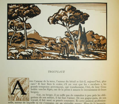 La Provence. Types et coutumes.. D'ARBAUD (Joseph) - MARLIAVE (François de).