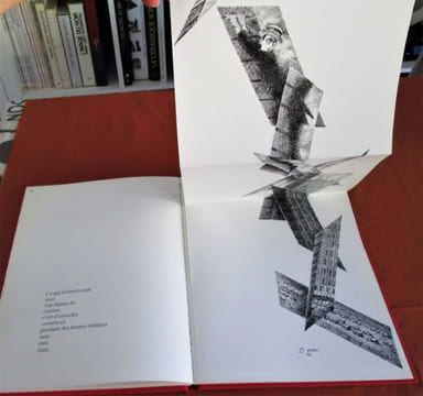 Le carton à chapeaux. textes et dessins de Pierre Etaix . ETAIX (Pierre)