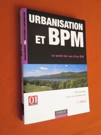 Urbanisation et BPM : Le point de vue d'un DSI