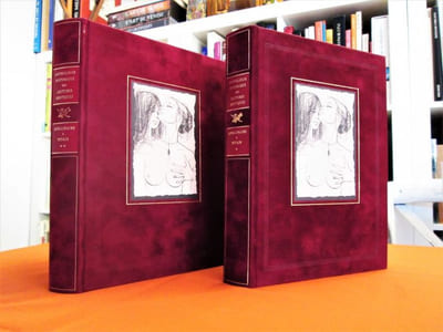 Anthologie historique des lectures érotiques : De Guillaume Apollinaire à Philippe Pétain.