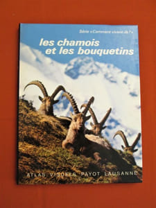 Les chamois et les bouquetins 