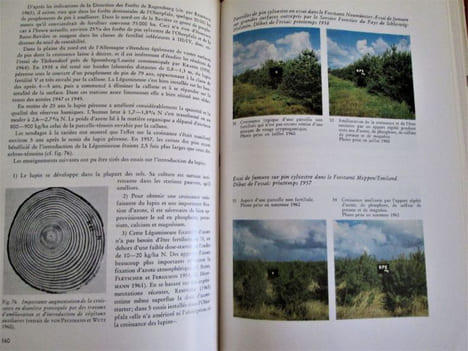 La fertilisation des arbres forestiers . Hubert Baule, Claude Fricker