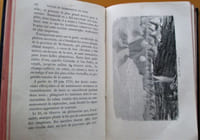 Volcans et Tremblements de terre. Ouvrage illustré de 62 Vignettes par E. Riou.