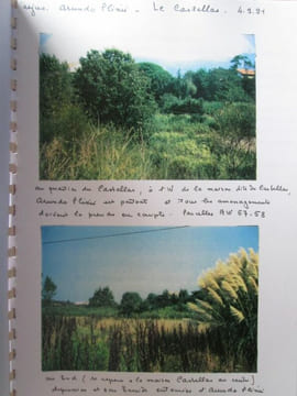 Etude sur les richesses naturelles végétales de la Commune de Fréjus (parties centrale et orientale, Estérel exclu). 2 parties en 2 tomes.. LAVAGNE ...