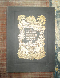 Le livre romantique.