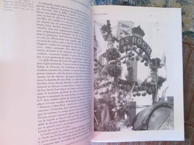 L'identité vécue.- Discours, rites, emblèmes : Provence, Languedoc, Hautes-Alpes.- (Le Monde Alpin et Rhodanien n° 1-2 de 1993).