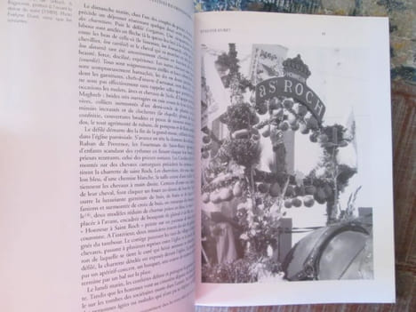 L'identité vécue.- Discours, rites, emblèmes : Provence, Languedoc, Hautes-Alpes.- (Le Monde Alpin et Rhodanien n° 1-2 de 1993).. LE MONDE ALPIN ET ...
