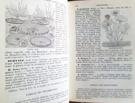 Le bon jardinier - L'essentiel - édition de 1920 - Conseils de culture traditionnels et écologiques.. BARATON (Alain)