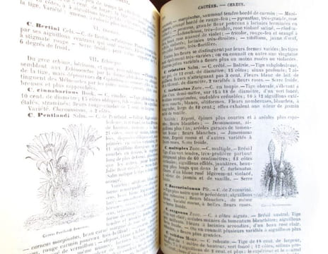 Le bon jardinier - L'essentiel - édition de 1920 - Conseils de culture traditionnels et écologiques.. BARATON (Alain)