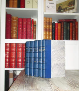 Correspondance générale de Eugène Delacroix, publiée par André Joubin (5 vol.) : Tome I : 1804 - 1837. Tome II : 1838 - 1849. Tome III : 1850 - 1857. Tome IV : 1858 - 1863. Tome V : Supplément et tables.