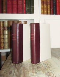 Pièces roses - Pièces noires (2 volumes)