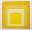 Josef Albers : Son oeuvre et sa contribution à la figuration visuelle au cours du XXe siècle.. GOMRINGER (Eugen)