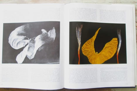 Journal du symbolisme.. DELEVOY, Robert L.