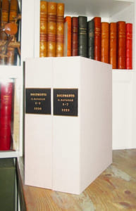 Documents. Doctrines, Archéologie, Beaux-Arts, Ethnographie