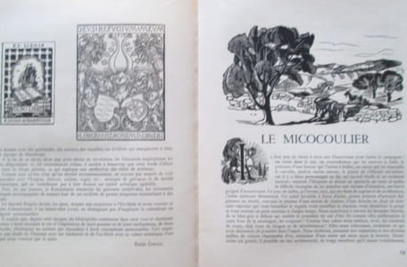 Le Livre et ses Amis. Revue mensuelle de lart du livre. Collection complète