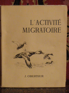 L'Activité Migratoire, Illustrations de l'auteur
