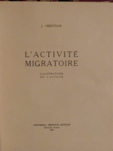 L'Activité Migratoire, Illustrations de l'auteur