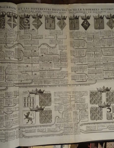 Carte Généalogique de la maison de Bourbon et les différentes branches qu'elle a formées accompagnée en partie de leurs armes et de quelques familles avec lesquelles elles sont entrées en alliance.