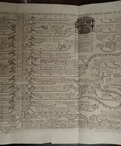 Carte généalogique de la maison de Brandebourg avec celle de la maison d'Ascanie, les différentes branches qu'elles ont formé, leurs armes et leurs alliances.