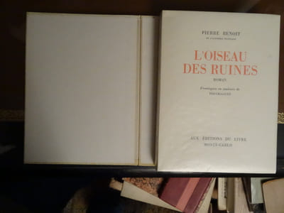 L'oiseau des Ruines.