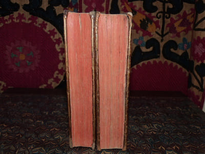 Histoire de Marguerite de Valois reine de Navarre, soeur de François Ier