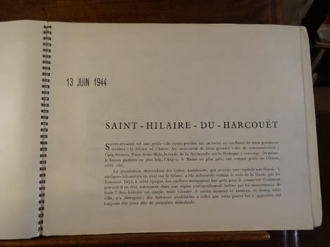 Saint-Hilaire-du-Harcouet, Le Marché dans les Ruines. . undefined