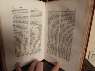 Histoire biographique des pairs, depuis la restauration jusqu'à l'époque actuelle, précédée d'un essai sur l'institution et l'influence de la pairie en France par C.-O. Barbaroux.