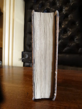 Anacréon, Sapho, Bion, Moschus, Theocrite, Musée, La Veillée des Fêtes de Vénus : Choix de POésies de Catulle, d'Horace et de différens auteurs.. ...