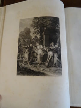 Galleria Biblica, ovvero serie di 90 incisioni in acciaio tolte da celebri quadri dei più famosi artisti antichi e moderni, con illustrazioni ...