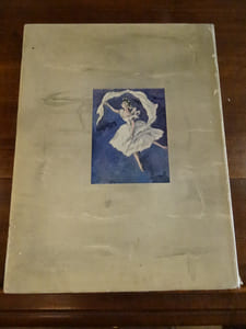La danse à l'opéra de Paris.