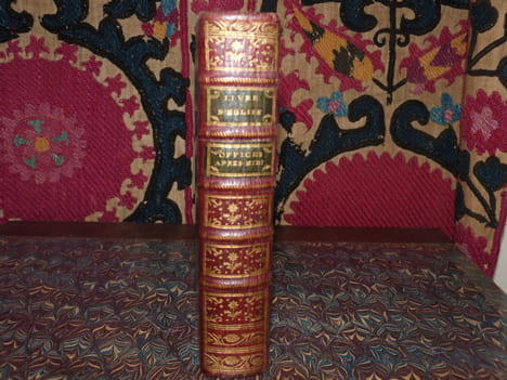 Livre d'église latin-françois, suivant le nouveau bréviaire de Paris, contenant l'office de l'après-midi, pour les dimanches & les fêtes de l'année.. ...